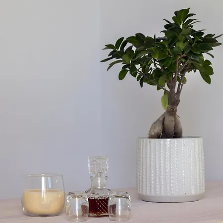 Restia Seaside Ii, 50m From Megas Gialos Διαμέρισμα